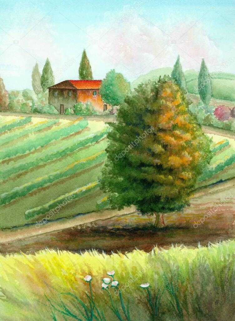 Watercolor rural landscape