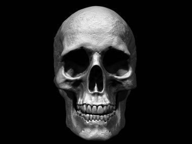 Human Skull 3d illustration isolated in background