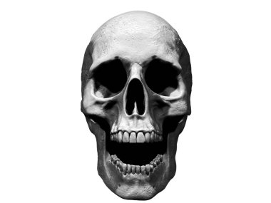 Boş arka plan 3d duvar kağıdı illüstrasyon içinde izole kafatası çığlık