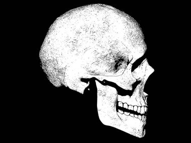 Kafatası illüstrasyon izole arka plan duvar kağıdı