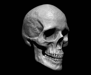 Arka plan 3d render illüstrasyon izole kafatası