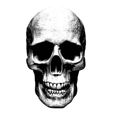 Kafatası illüstrasyon izole arka plan duvar kağıdı