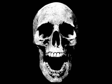 Kafatası illüstrasyon izole arka plan duvar kağıdı