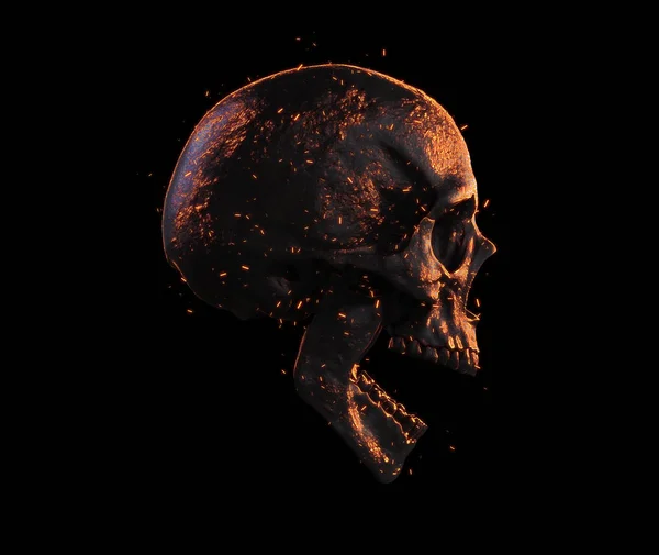 Skull Burned Isolated Wallpaper Illustration — Stock Photo, Image