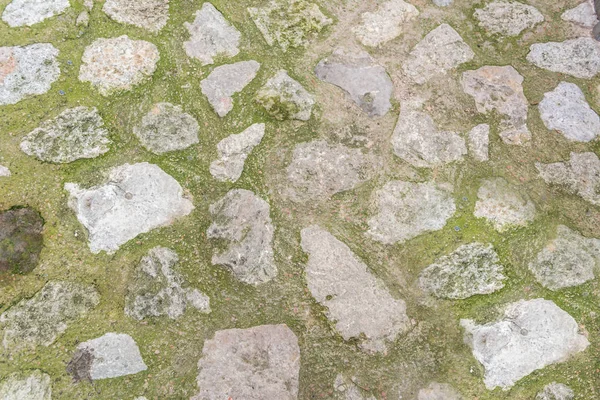 Каменная Дорожка Текстурой Травы — стоковое фото