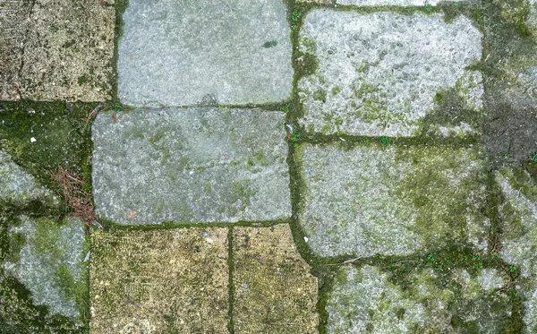 Stenen Pad Met Gras Textuur Achtergrond — Gratis stockfoto