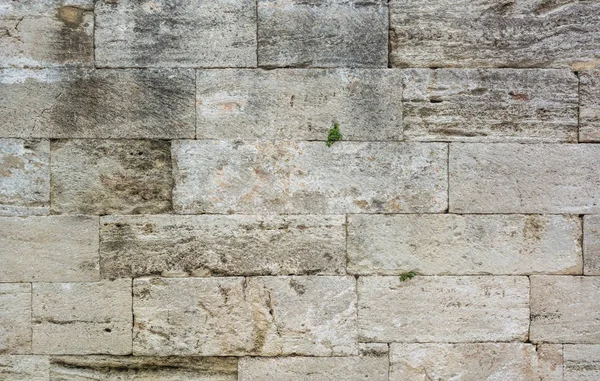 Struttura Della Parete Pietra Struttura Della Parete Pietra Sfondo Vecchia — Foto Stock