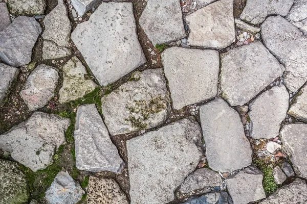 Stone path with grass texture background