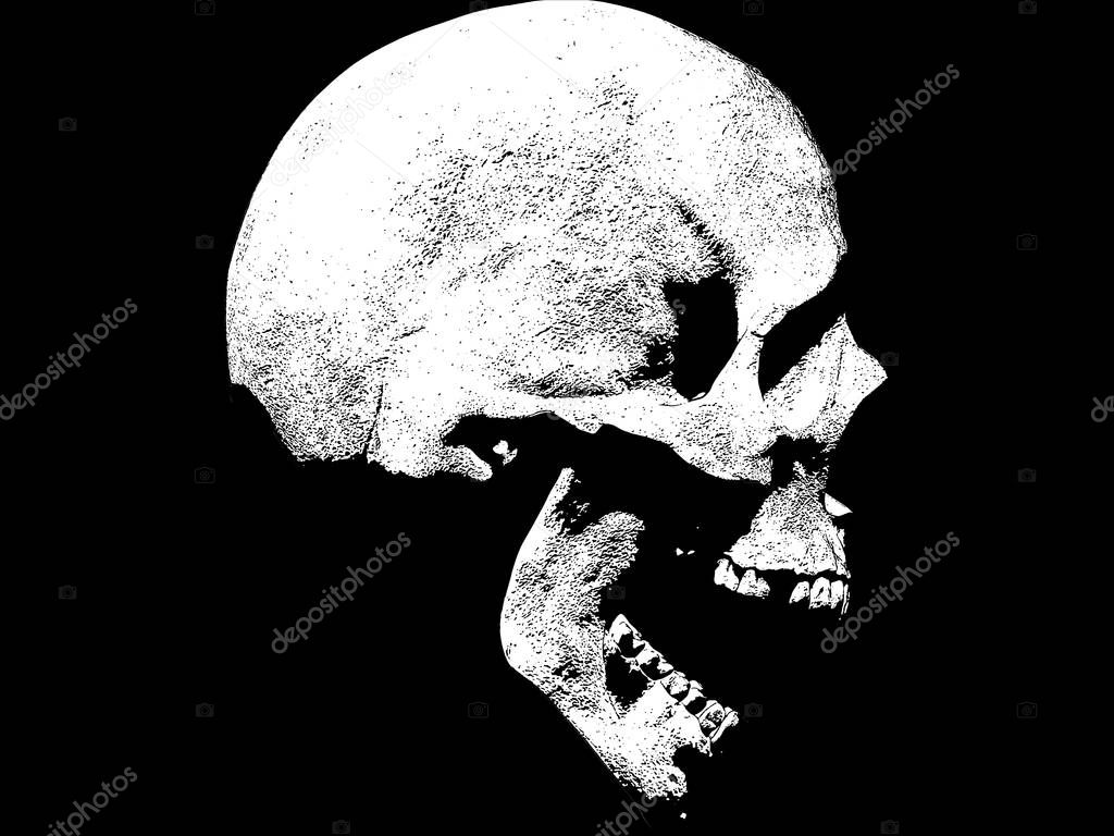 Skull illustration isolated  in background wallpaper