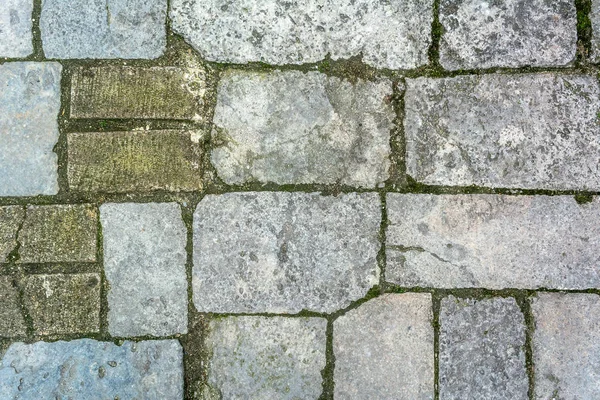 Stenen Pad Met Gras Textuur Achtergrond — Stockfoto