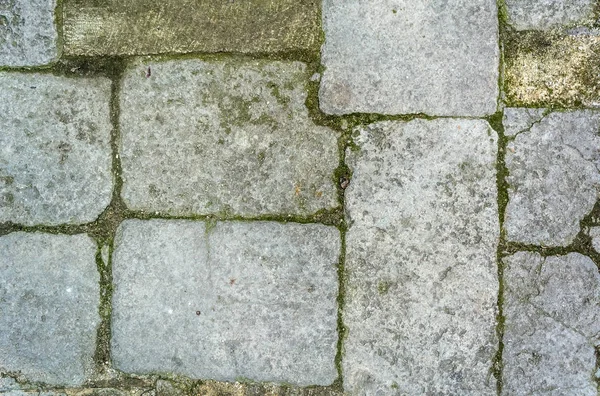 Stone Path Grass Texture Background — Free Stock Photo