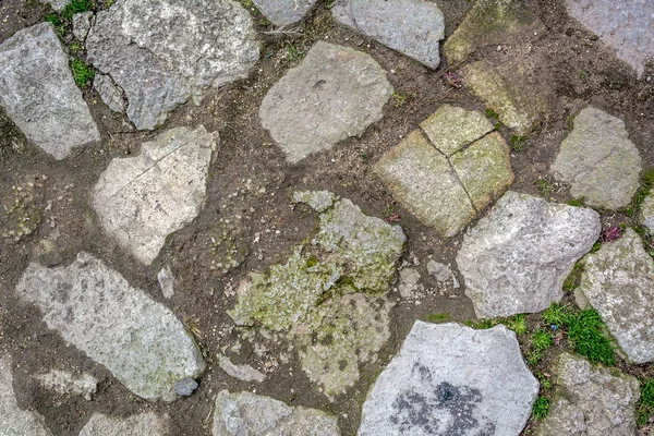 Stenen Pad Met Gras Textuur Achtergrond — Stockfoto