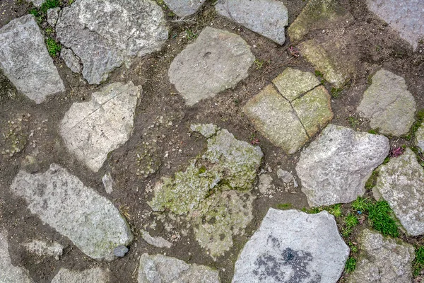 Stone path with grass texture background