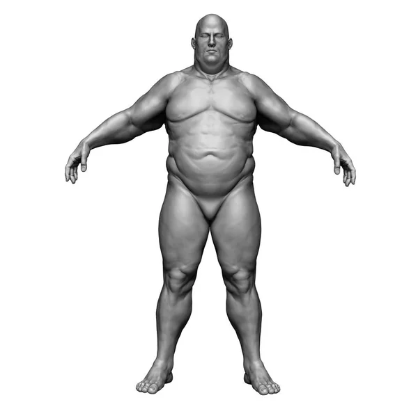 Fat Man Human Body Isolated White Background Illustration — Free Stock Photo