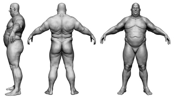 Hombre Gordo Cuerpo Humano Aislado Fondo Blanco Ilustración —  Fotos de Stock