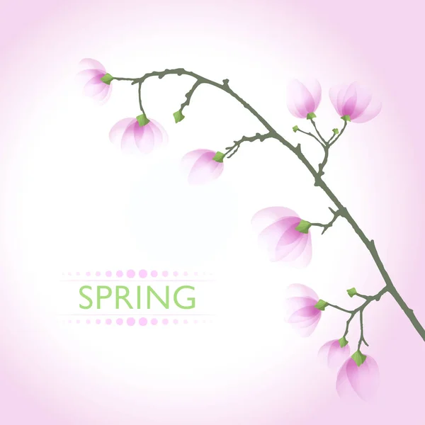 Fundo vetorial com flores de primavera —  Vetores de Stock