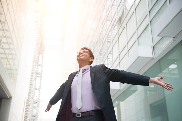 Homem de negócios comemorando o sucesso — Fotografia de Stock