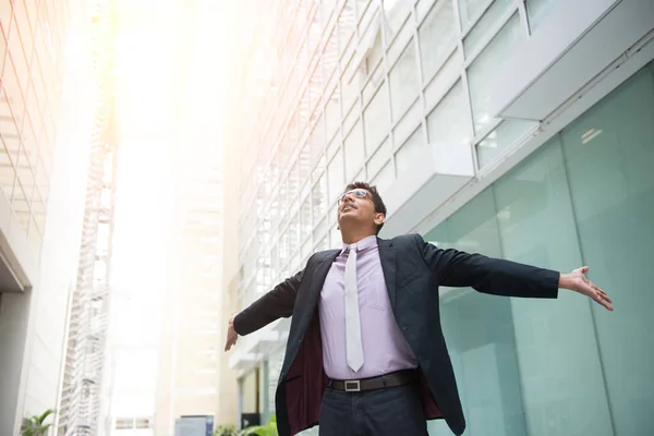 Homem de negócios comemorando o sucesso — Fotografia de Stock