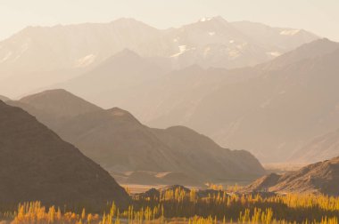 Ladakh güzel teknik destek-moriri