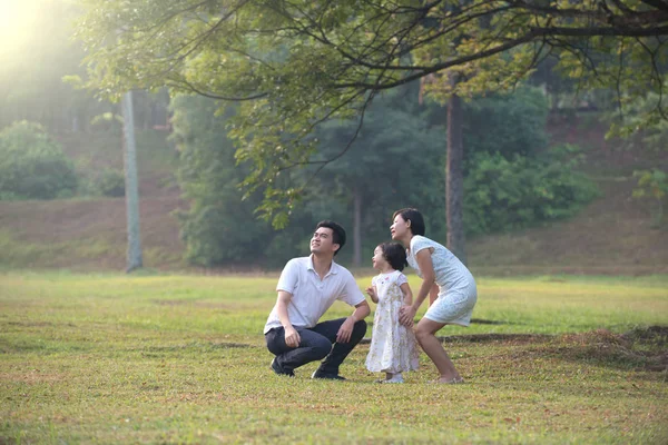 公園にいるアジア系の家族 — ストック写真