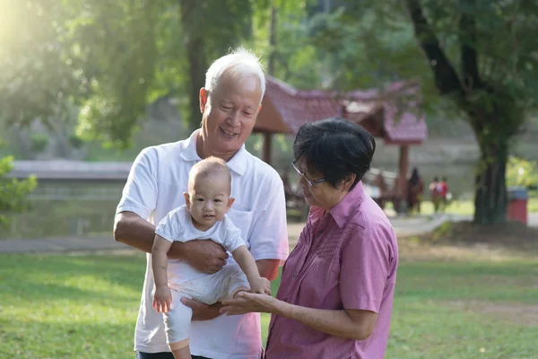 Kakek-nenek Cina menggendong cucu — Stok Foto