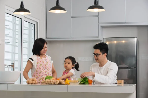 Asiatisk Familj Matlagning — Stockfoto