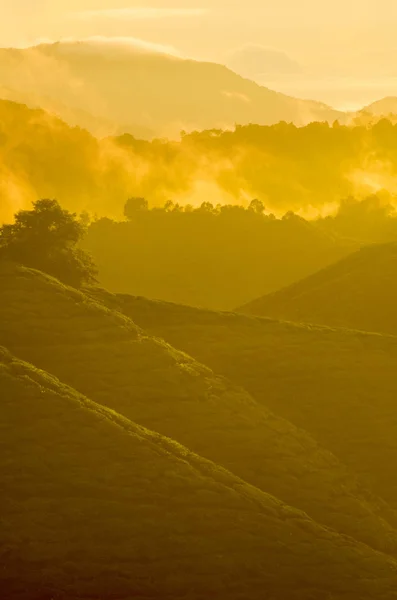 Morgon på cameron highlands — Stockfoto