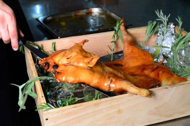 Şef hazırlanıyor Kızartma domuz yavrusu 