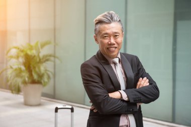 Bagaj ile üst düzey iş adamı