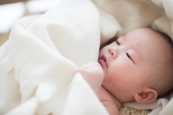 Söt asiatisk baby — Stockfoto