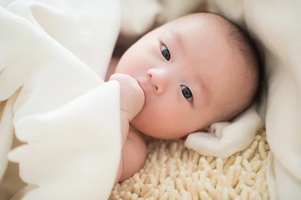 Lindo asiático bebé —  Fotos de Stock