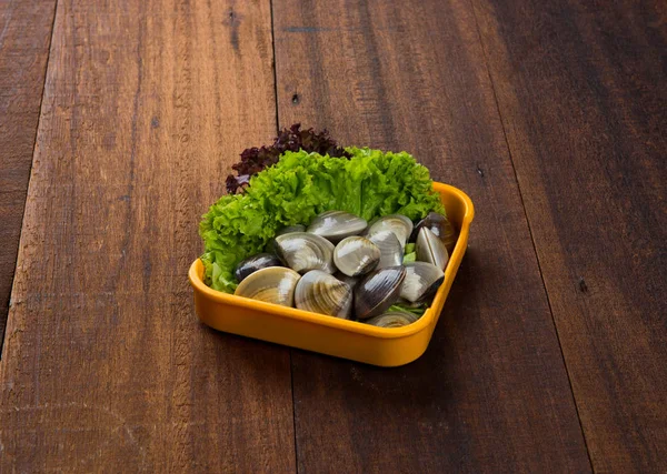 Lala softshell musslor — Stockfoto