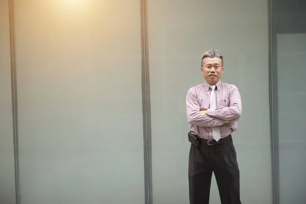 Portret Azjatycki Biznes Człowiek Pozowanie Ścianę — Zdjęcie stockowe