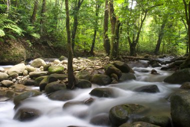 Yeşil şelale doğa manzara