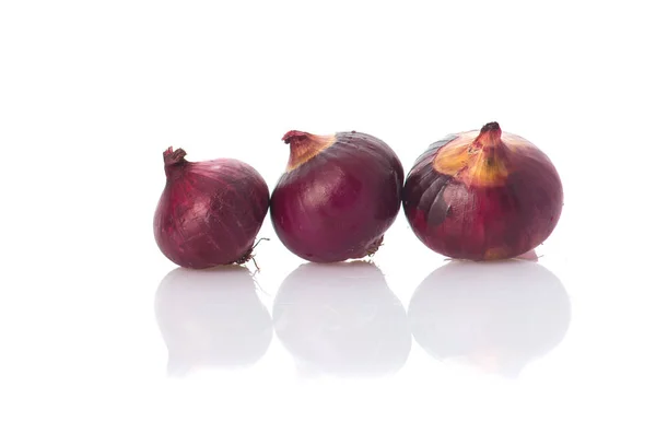 Shallot White Background — Stock Photo, Image