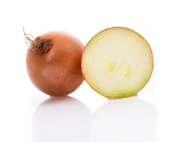 Holland Onion White Background — Stock Photo, Image