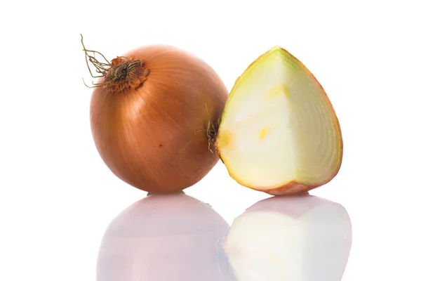 Holland Onion White Background — Stock Photo, Image
