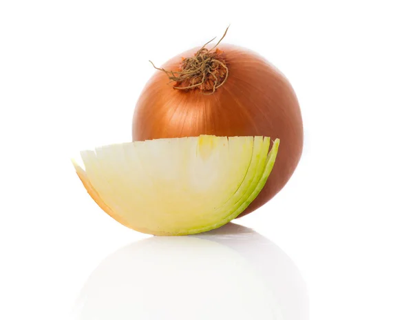 Holland Onion White Background — Stock Photo, Image