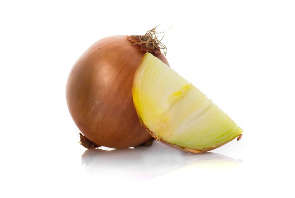 Holland Onion White Background — Stock Photo, Image