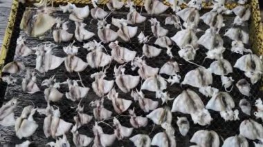 Masanın üstünde kuruyan güzel deniz kabuklarının yakın çekim görüntüleri.