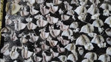 Masanın üstünde kuruyan güzel deniz kabuklarının yakın çekim görüntüleri.