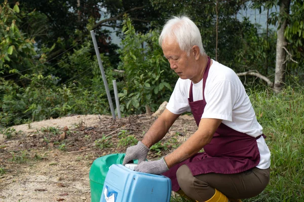 농장에서 일하는 아시아 두리안 — 스톡 사진