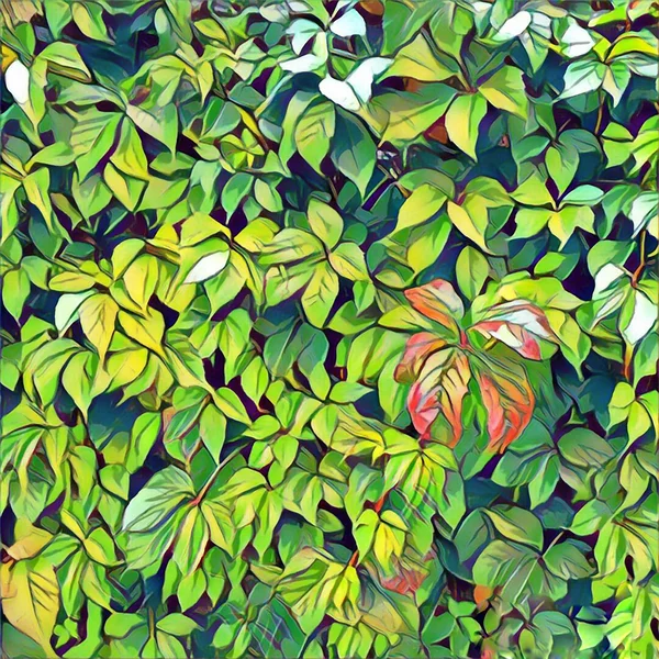 Rama de verano con hojas verdes — Foto de Stock