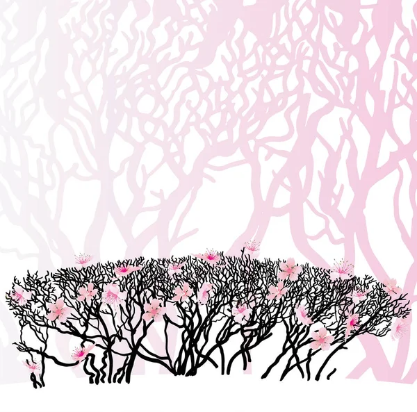 Bloeiende Bomen Silhouet Voorjaar Template — Stockfoto