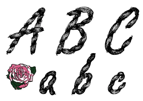 Letras Dibujadas Mano Vector Negro Con Ilustración Rosa — Vector de stock