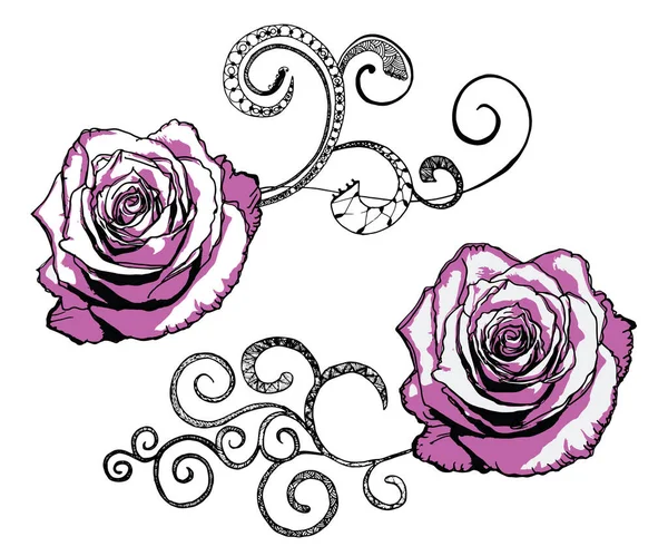 Vector Roses Flourishes Isolated White — Stock Vector