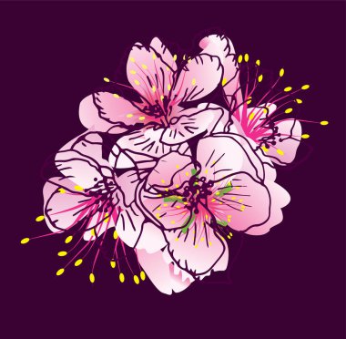 Elle çizilmiş pembe çiçekler koyu erik arka planında çizgi