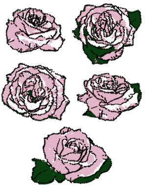 siyah ve pembe yarım ton gül seti