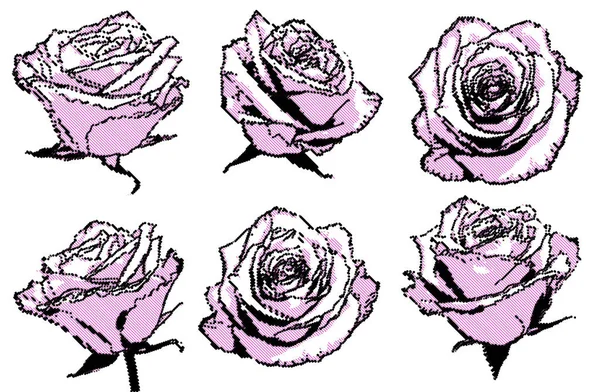 Negro Rosa Medio Tono Puntos Rosas Conjunto — Vector de stock