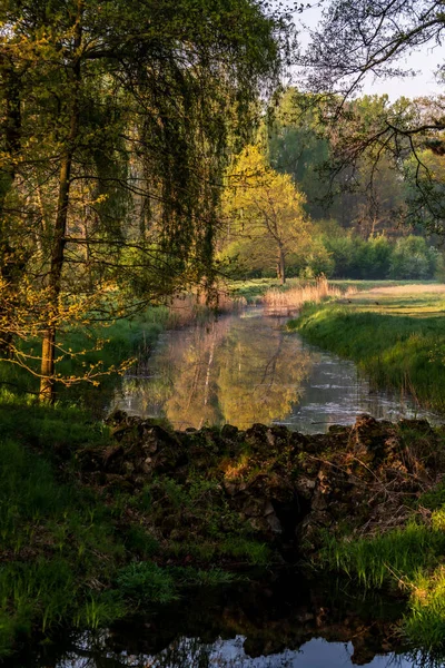 这张照片是上午在Wierklaniec拍摄的 我们和一位朋友摄影师一起去湖边拍摄日出 这张照片展示了一个公园的一部分 它有一个带有天然堤坝的长长的池塘 — 图库照片